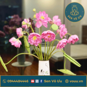 Bó hoa sen Bách diệp Hồ Tây