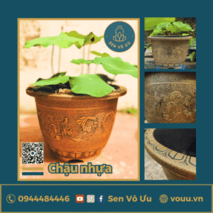 Chậu nhựa giả đồng nhập khẩu | Sen Vô Ưu