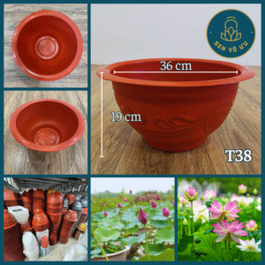 Chậu nhựa trồng sen súng