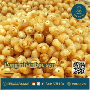 Long nhãn bọc hạt sen ăn liền bổ dưỡng