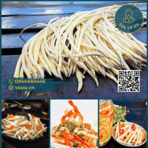 Ngó sen tươi - Mầm sen tươi