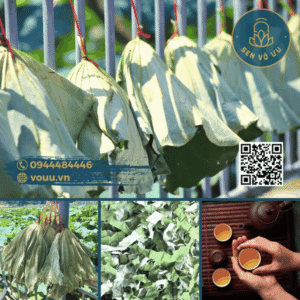 Trà lá sen | Lá sen khô giảm cân